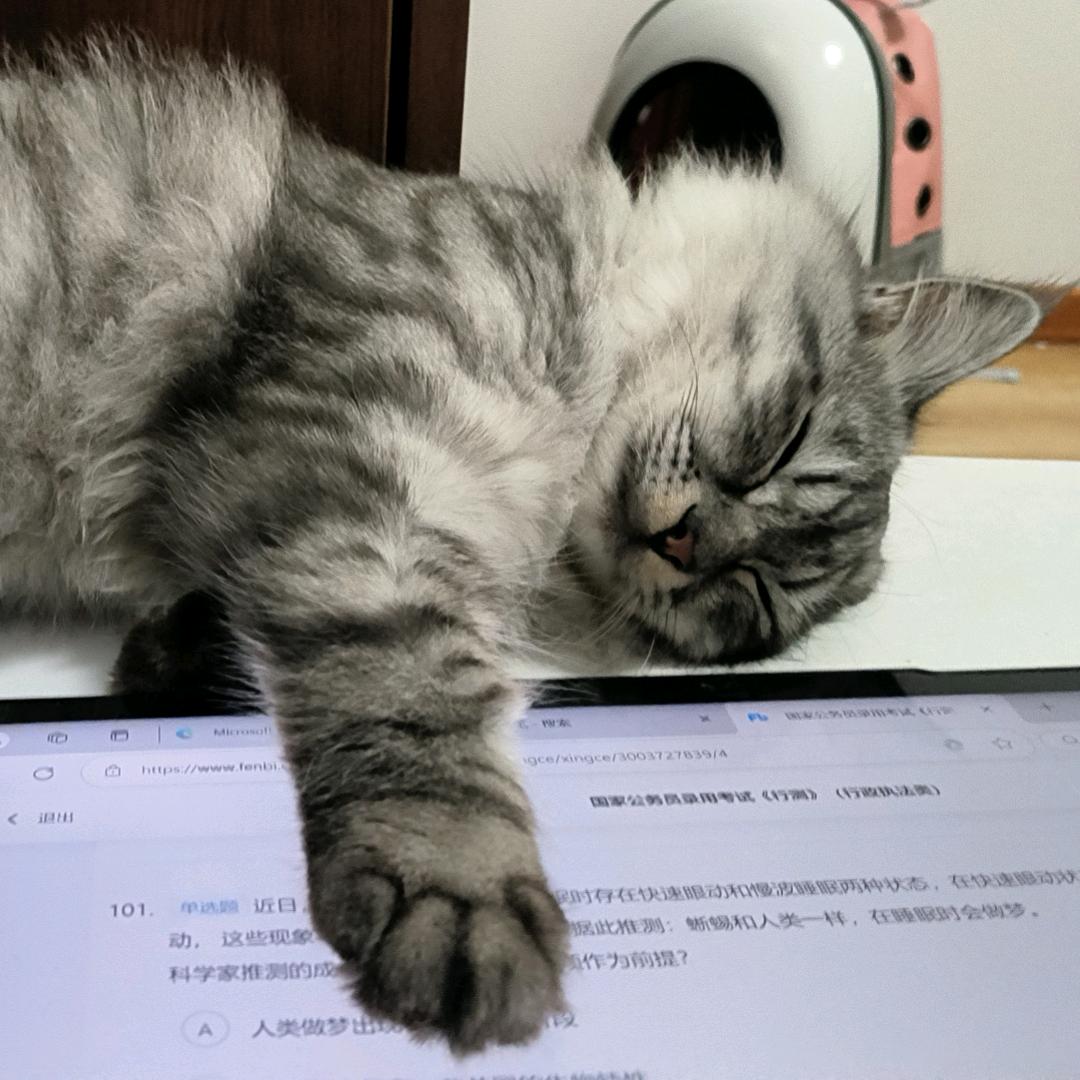 鑫.