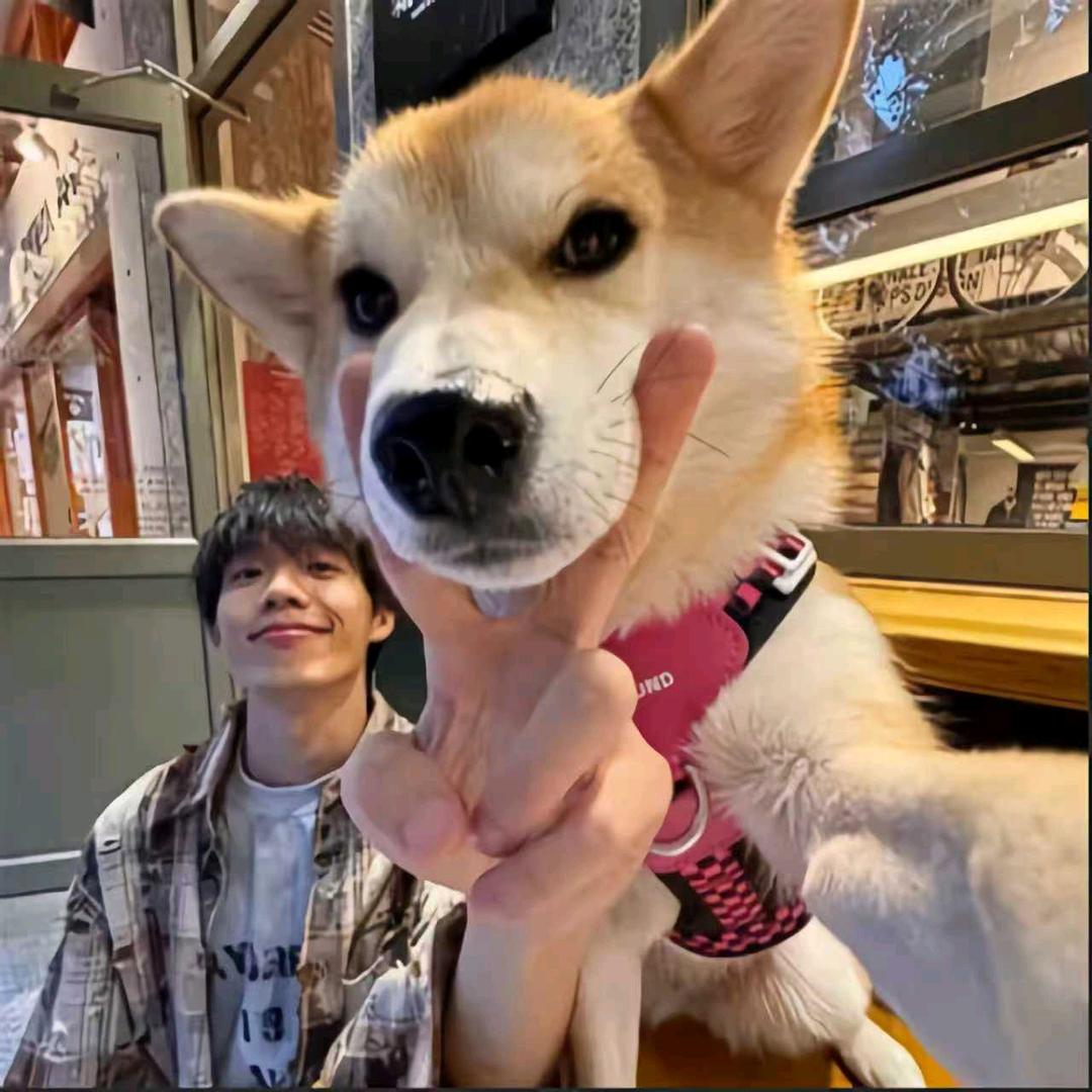 阿肆♏（没老版）