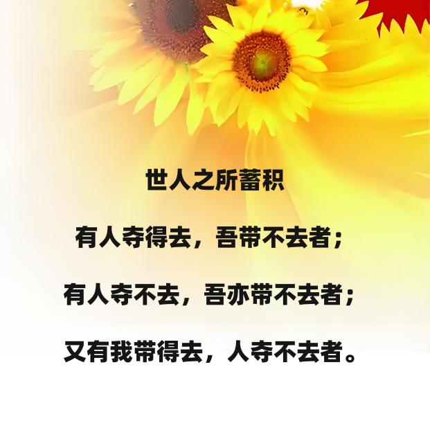 甜茶书屋