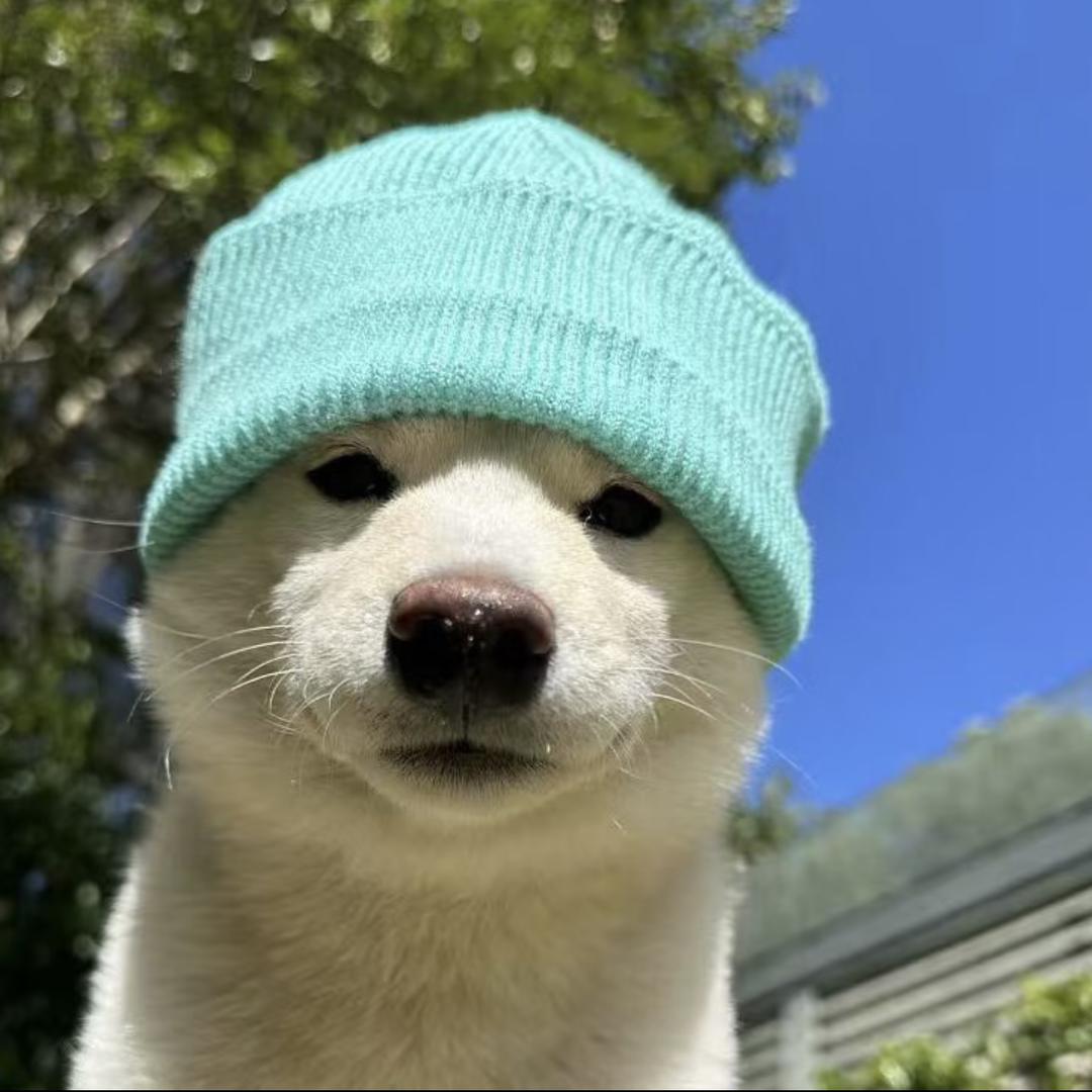 菠萝