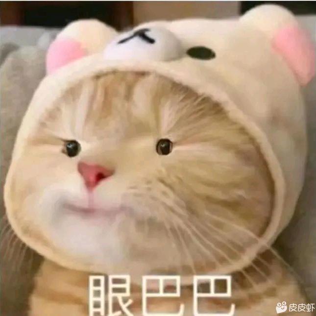 呆头娥