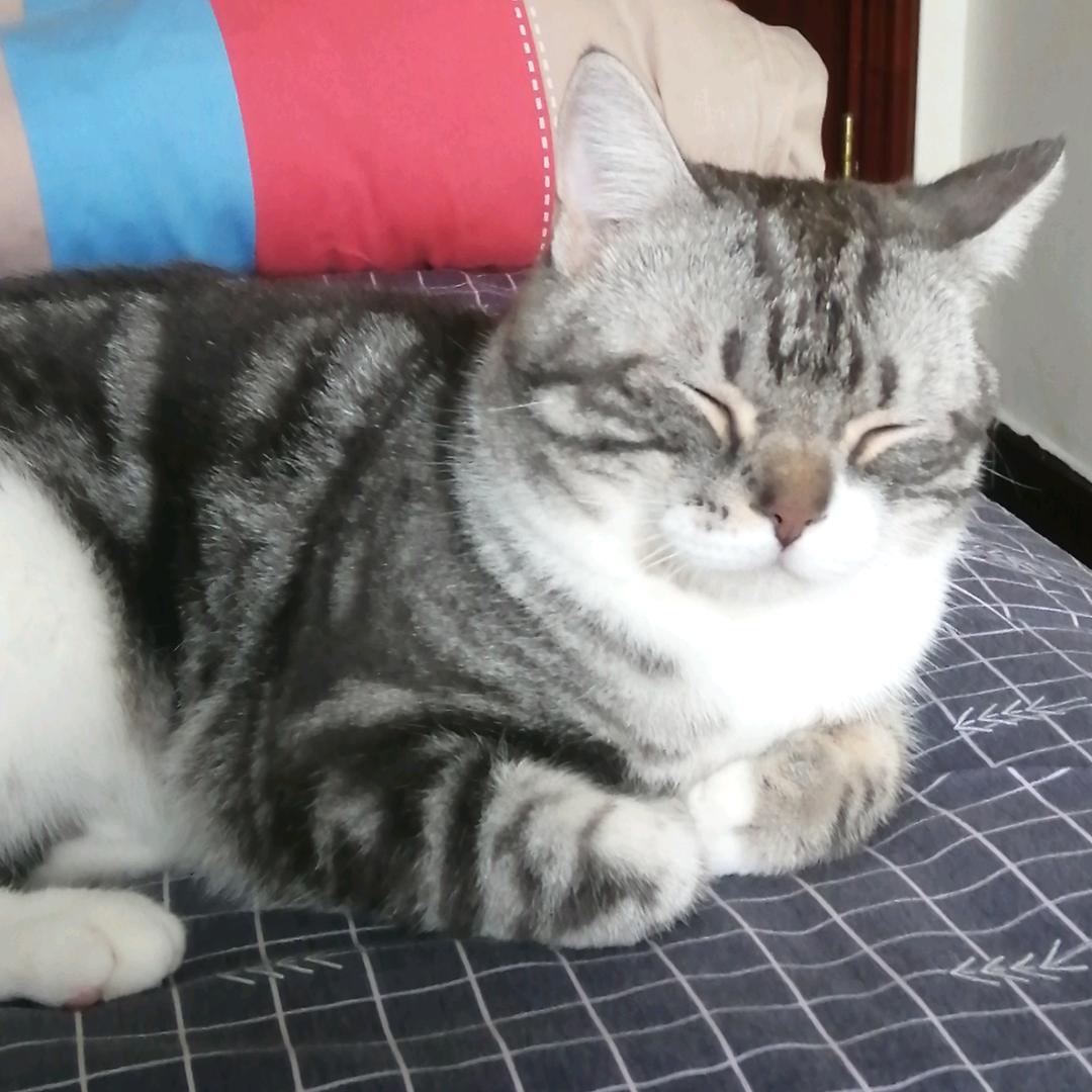 一人舔伤口❤️❤️❤️❤️