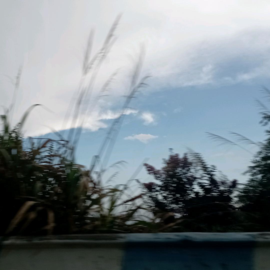 🍉不甜