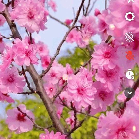 投资