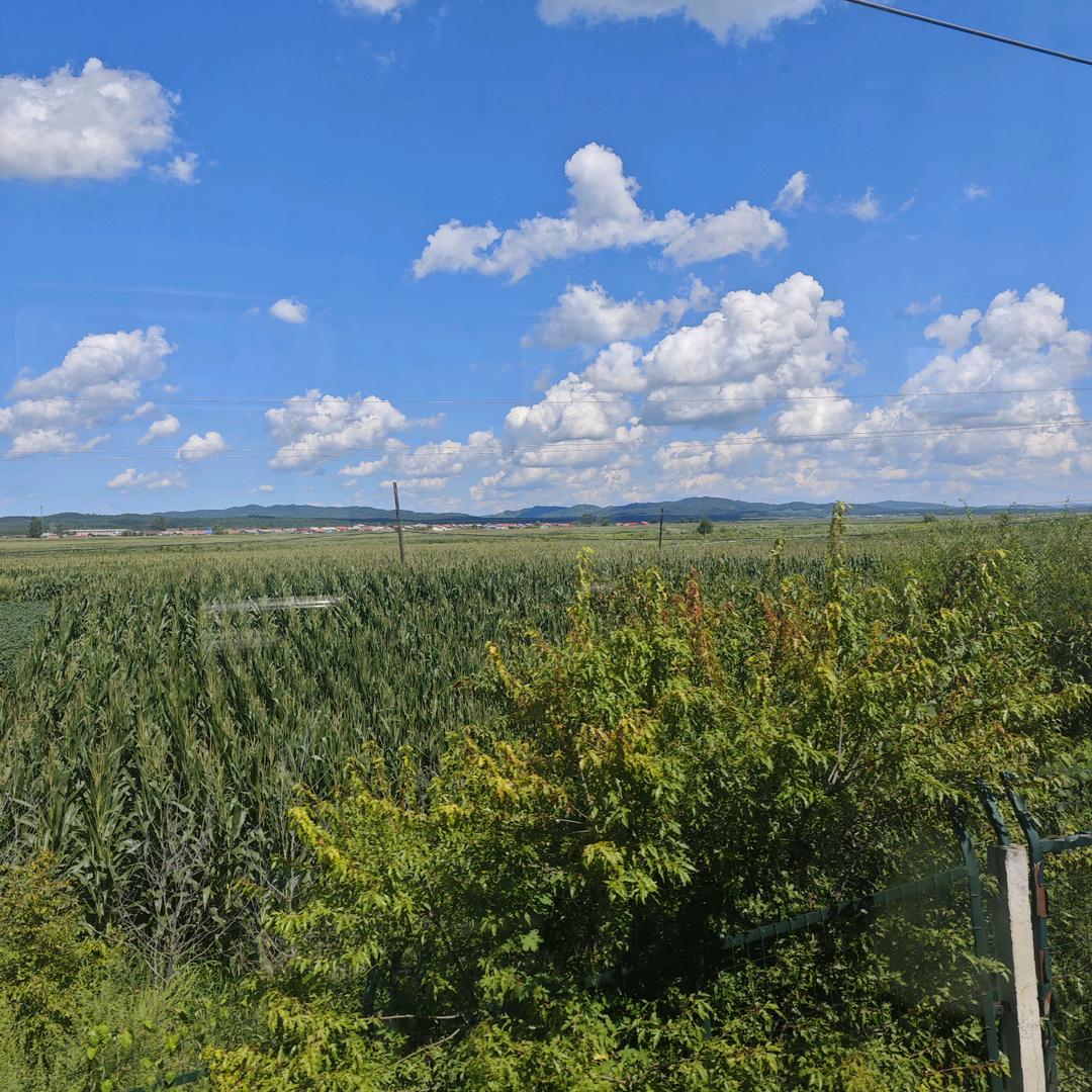 爱玩游戏的老年人