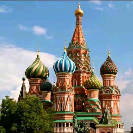 俄罗斯🇷🇺【食品在橱窗】