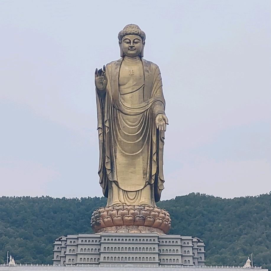 情