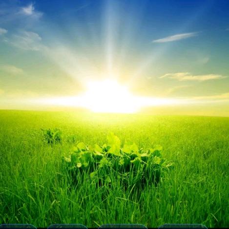 💞༄碧草悠悠🦄ོྂཾ࿆࿐