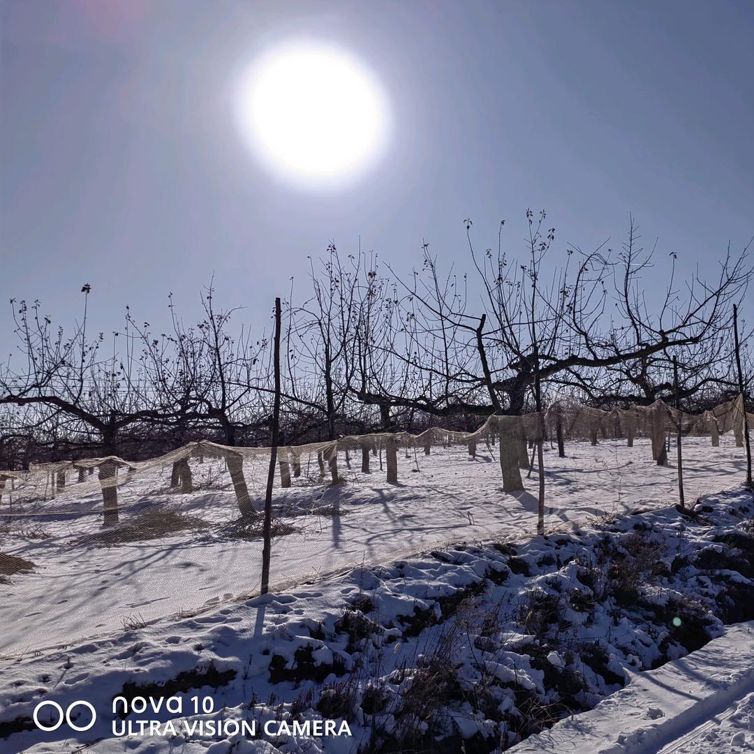 ღ再见不负遇见᭄ꦿ࿐