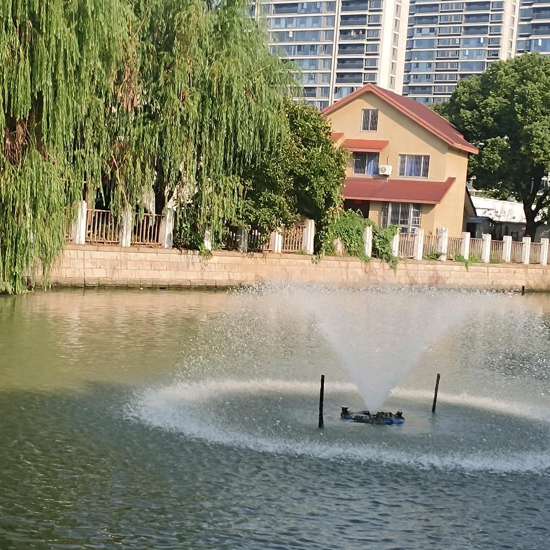 一身平安八哥