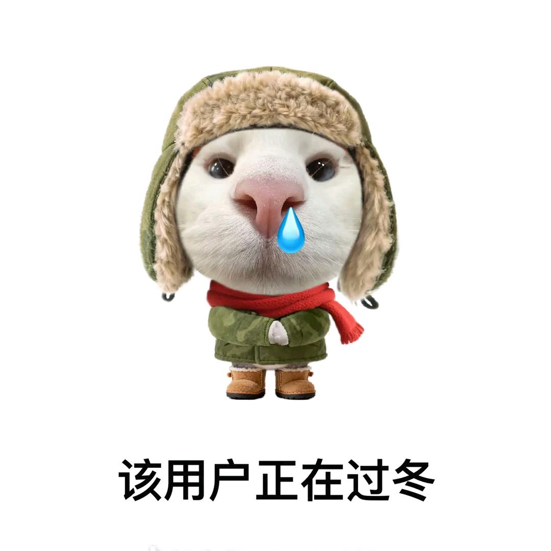 快听~起风了🏸