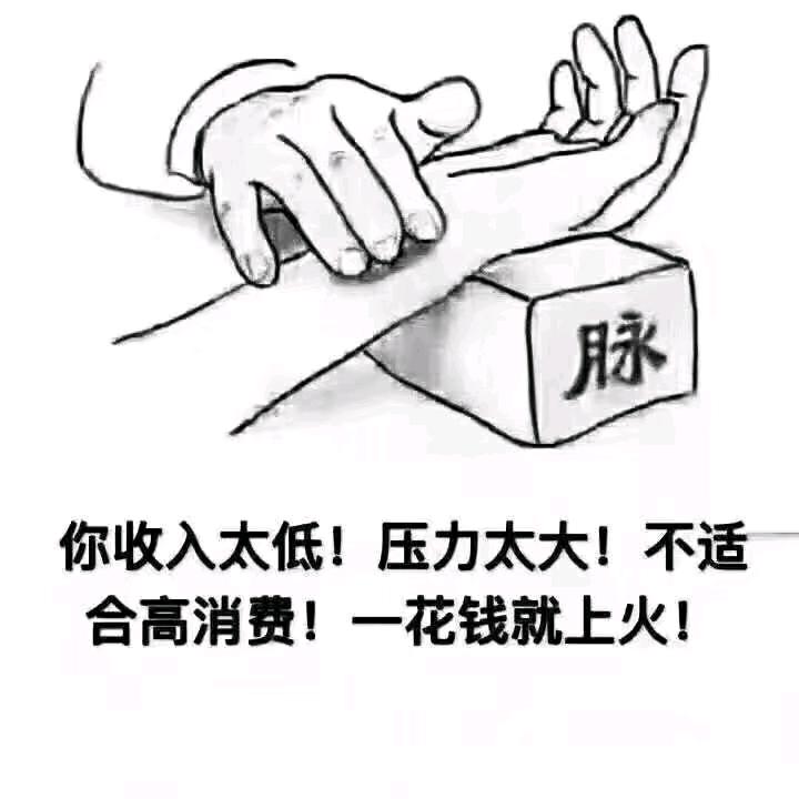 两禽相悦