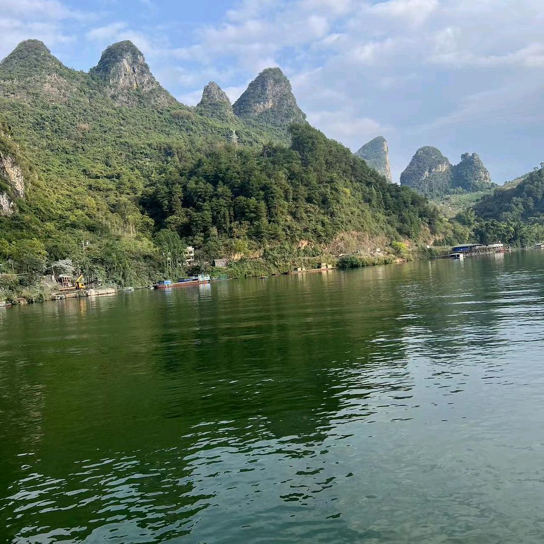 像263吧6克风一样的铃儿