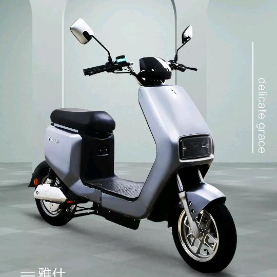 吉首新大洲电动车