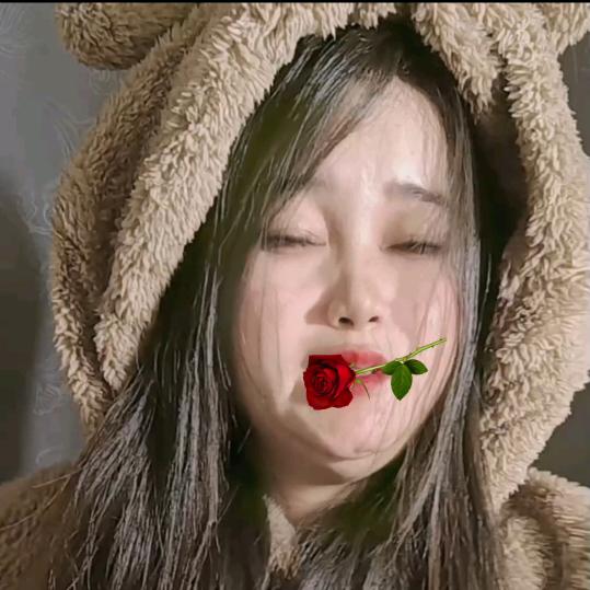 洋花菜