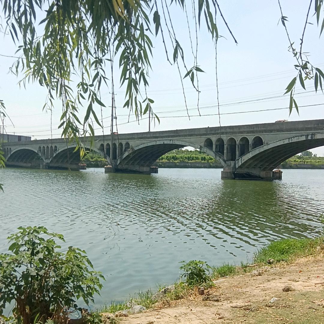 新鑫