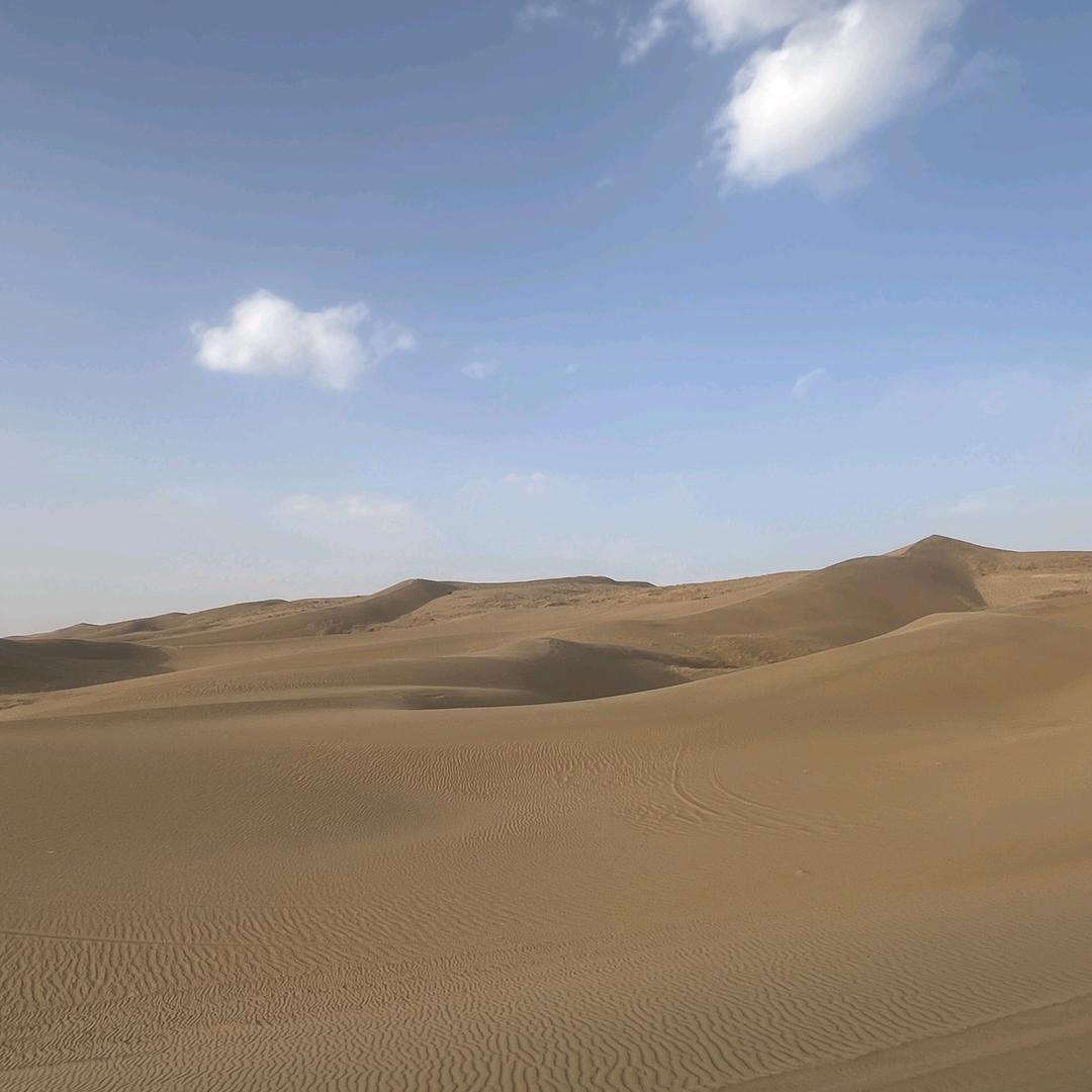 吃不胖  喝不多