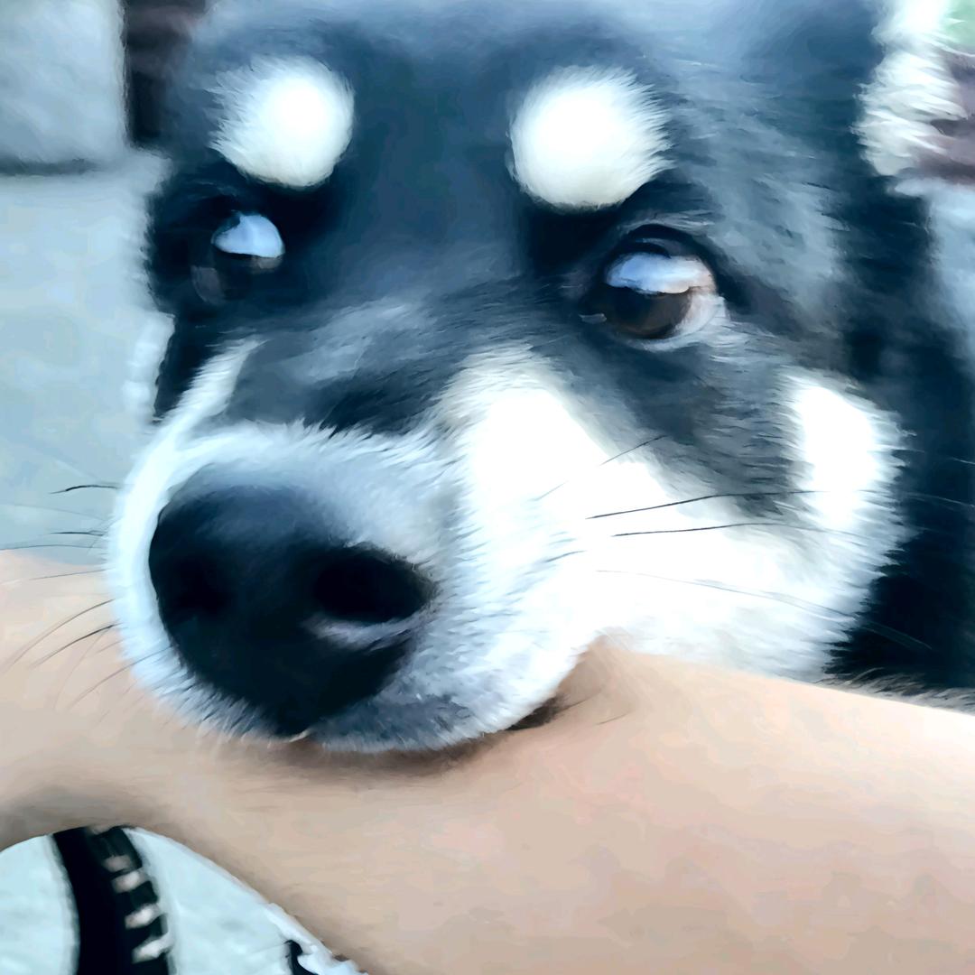 尽くす
