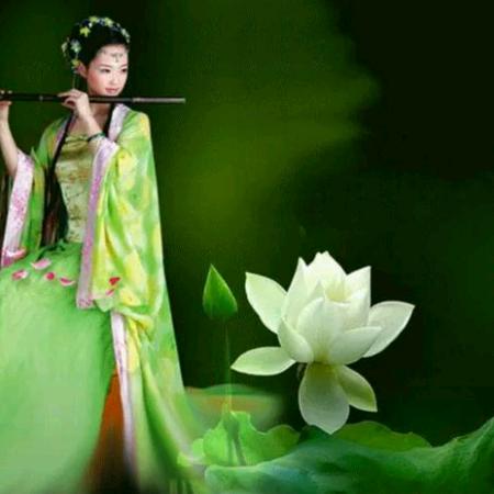 薰衣草，