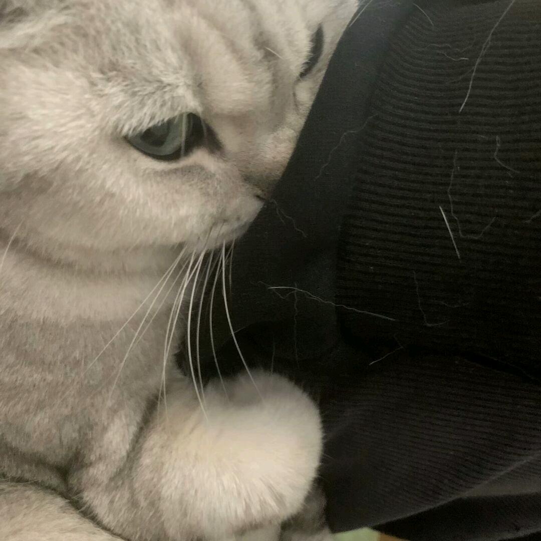 3 7 2 1