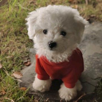 小健哥（拒绝私聊）