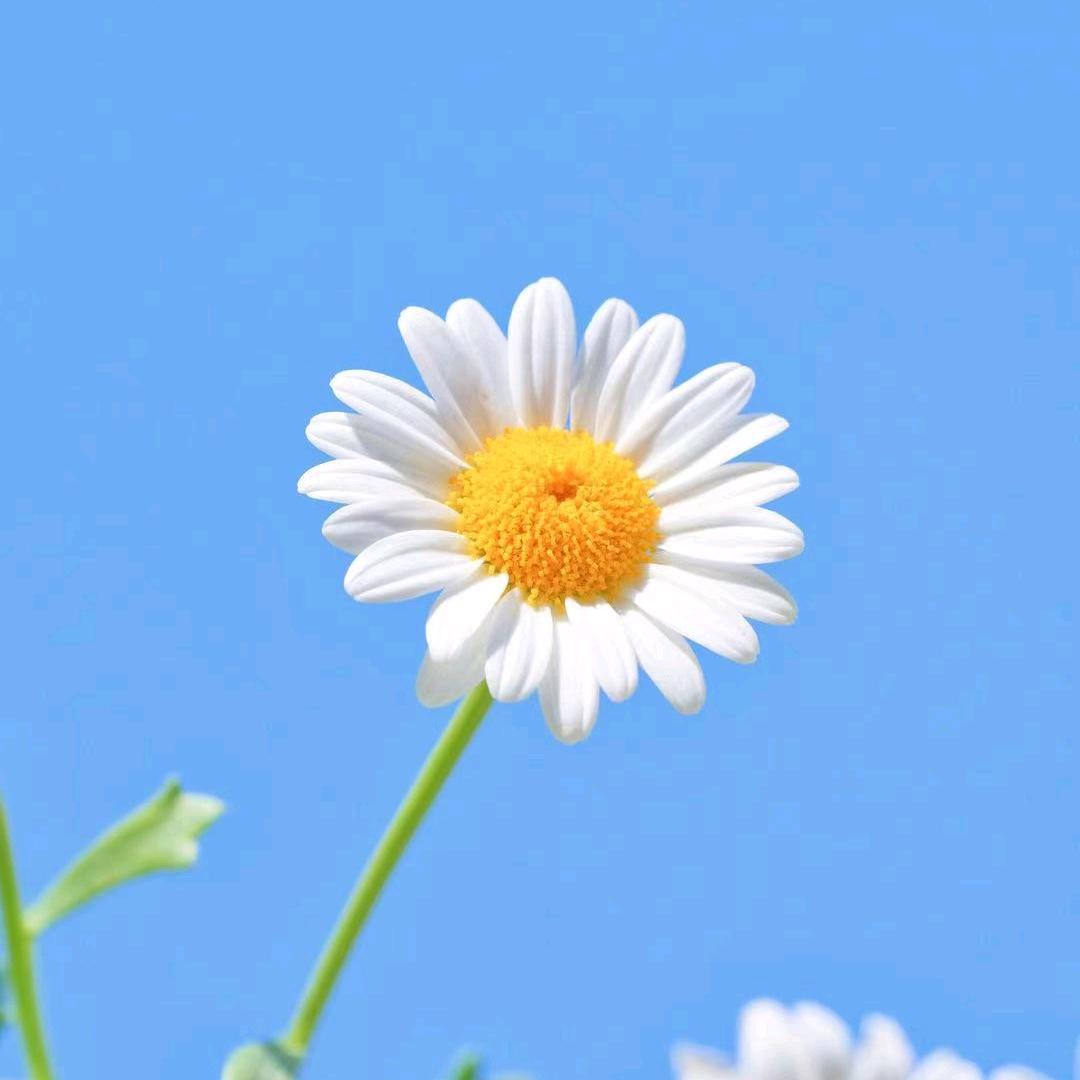 新能源电动三轮车02