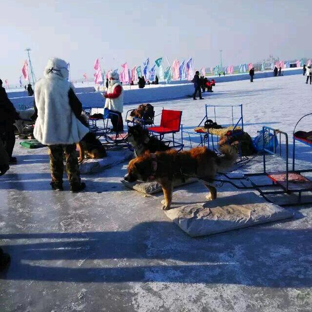 ღ᭄💞♡̶҉如[，，，]愿ঞღ᭄ ?