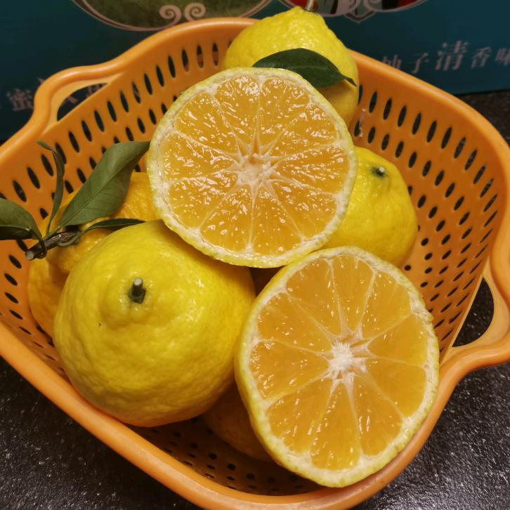 清乡蜜源