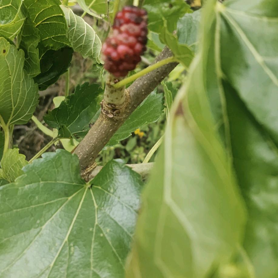 清风拂我面