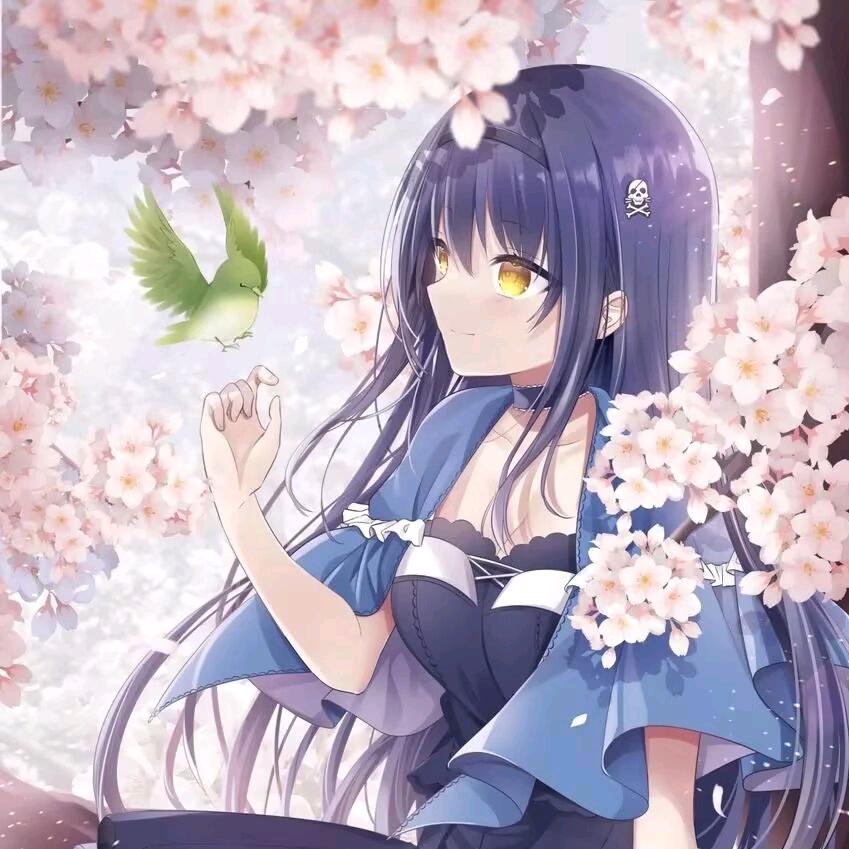 梦醒了 y
