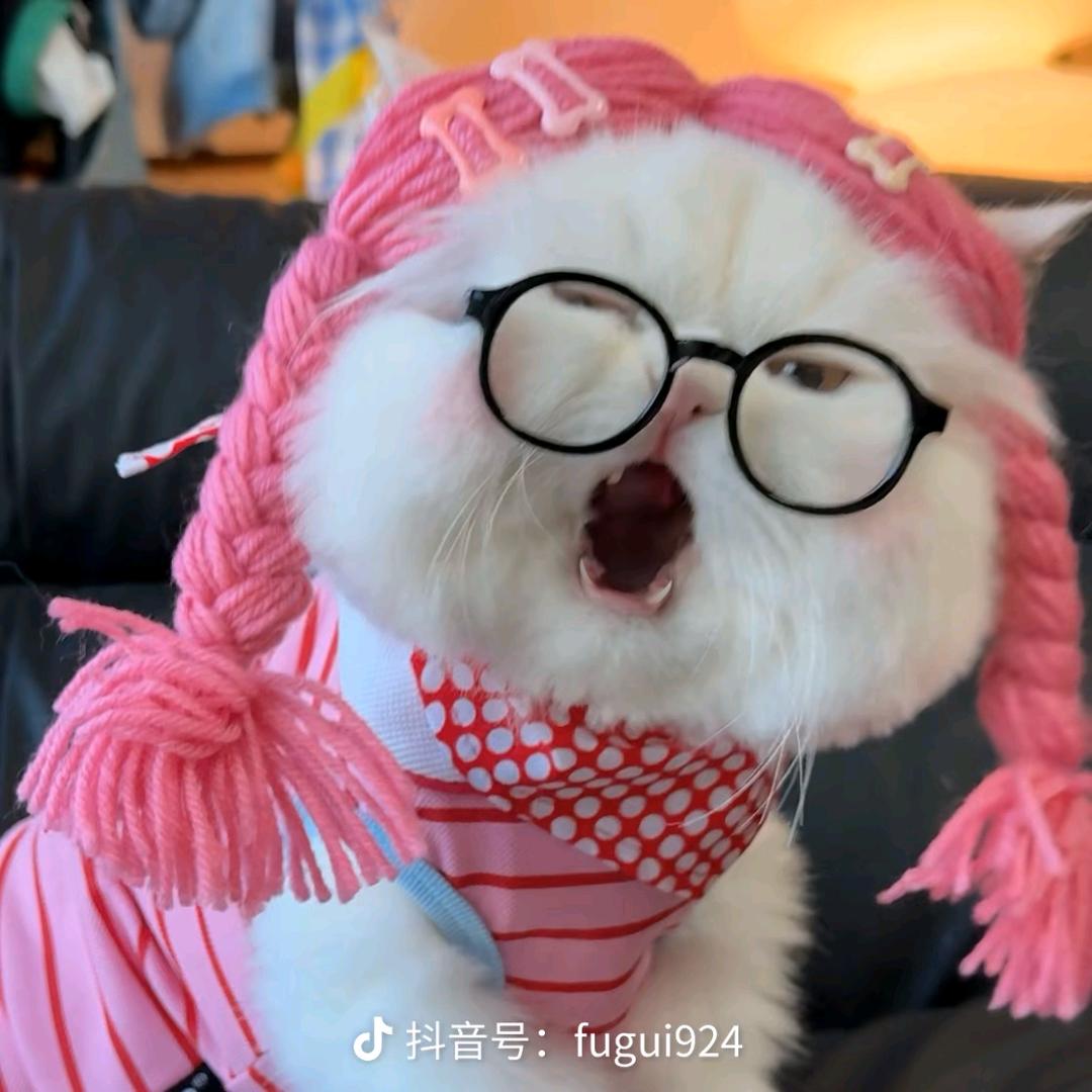 累了倦了懂了