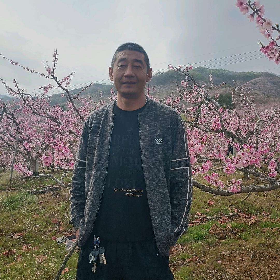 爱你不后悔