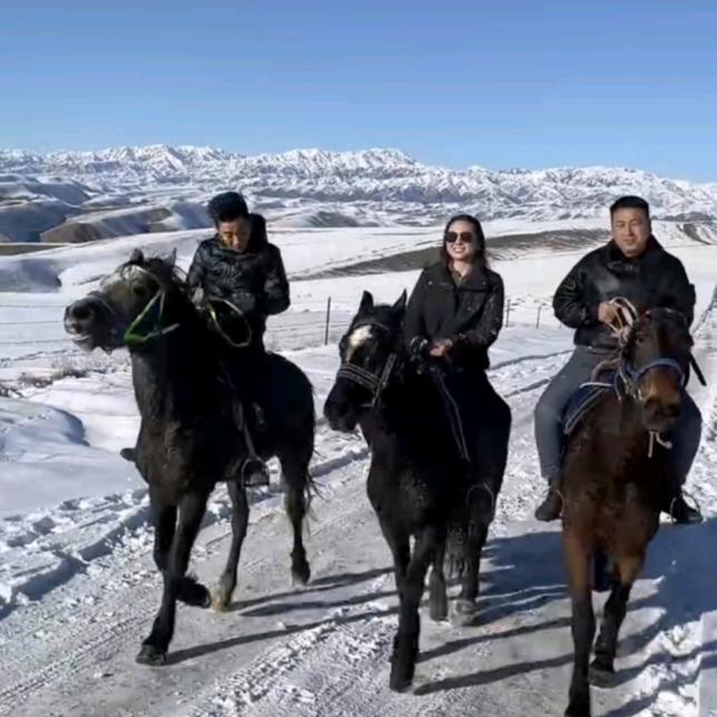 新城区骑驭马术俱乐部团购讲解主播