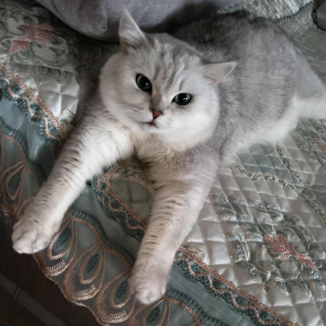 O-o