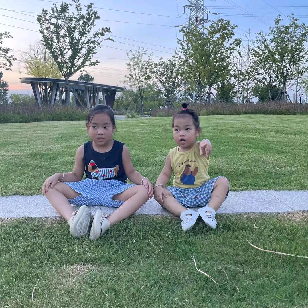 会飞的鱼