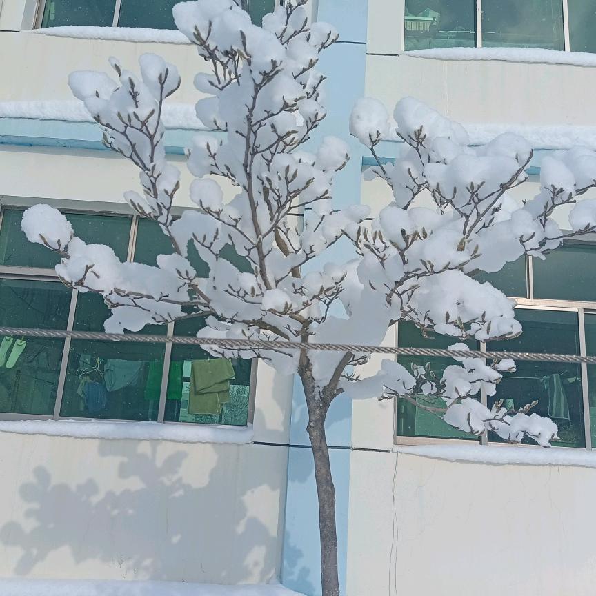 天真致命心软是病