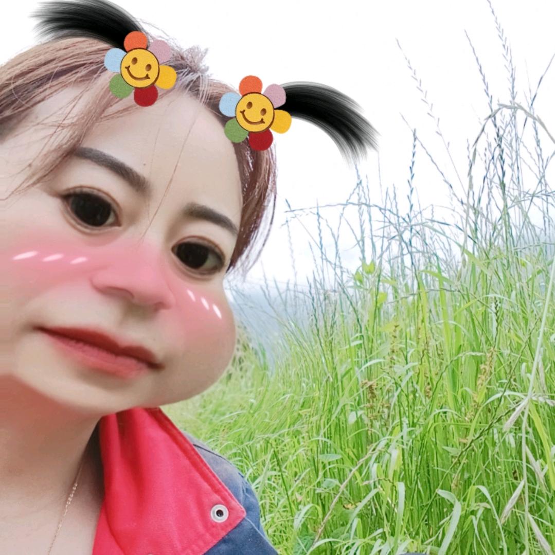 憨姐