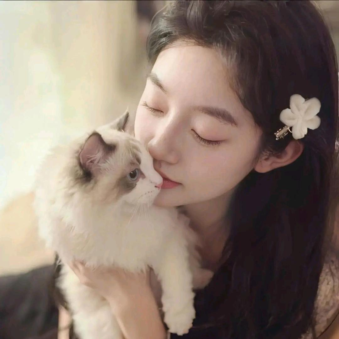 猫猫芝麻胡