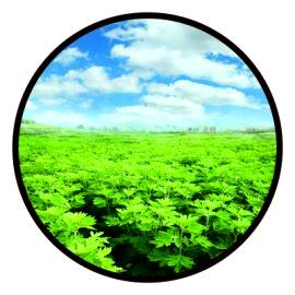 艾渡有缘人（免费收学徒）