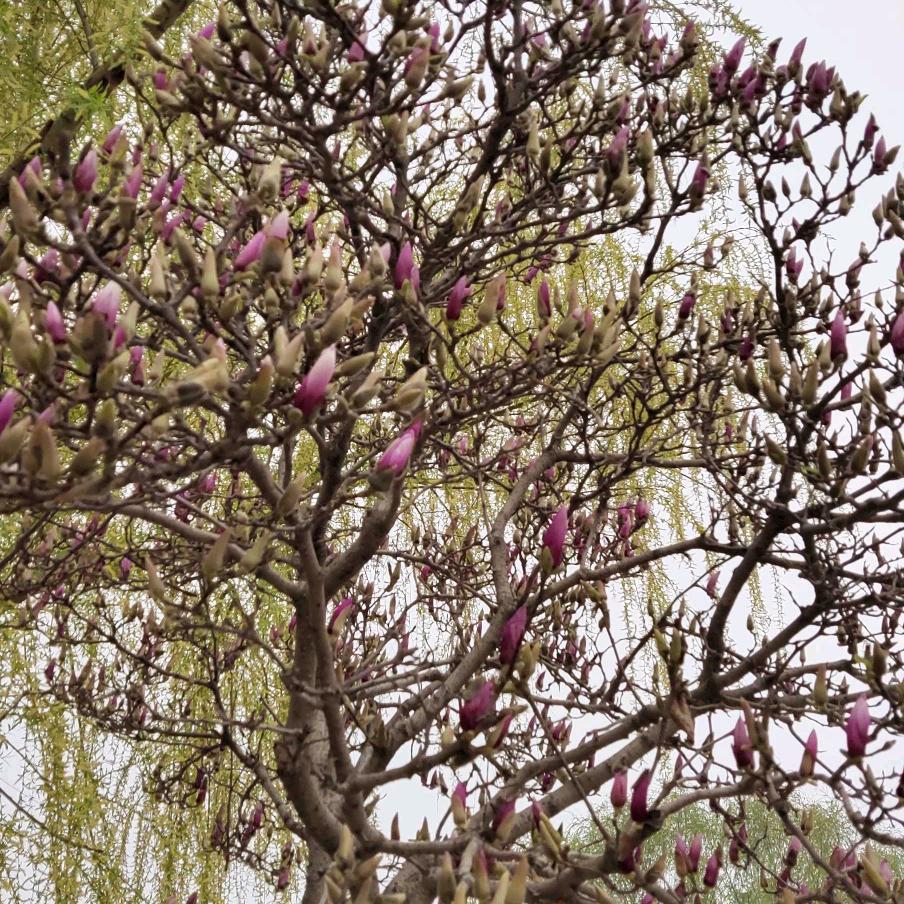 人生在世 理解相随