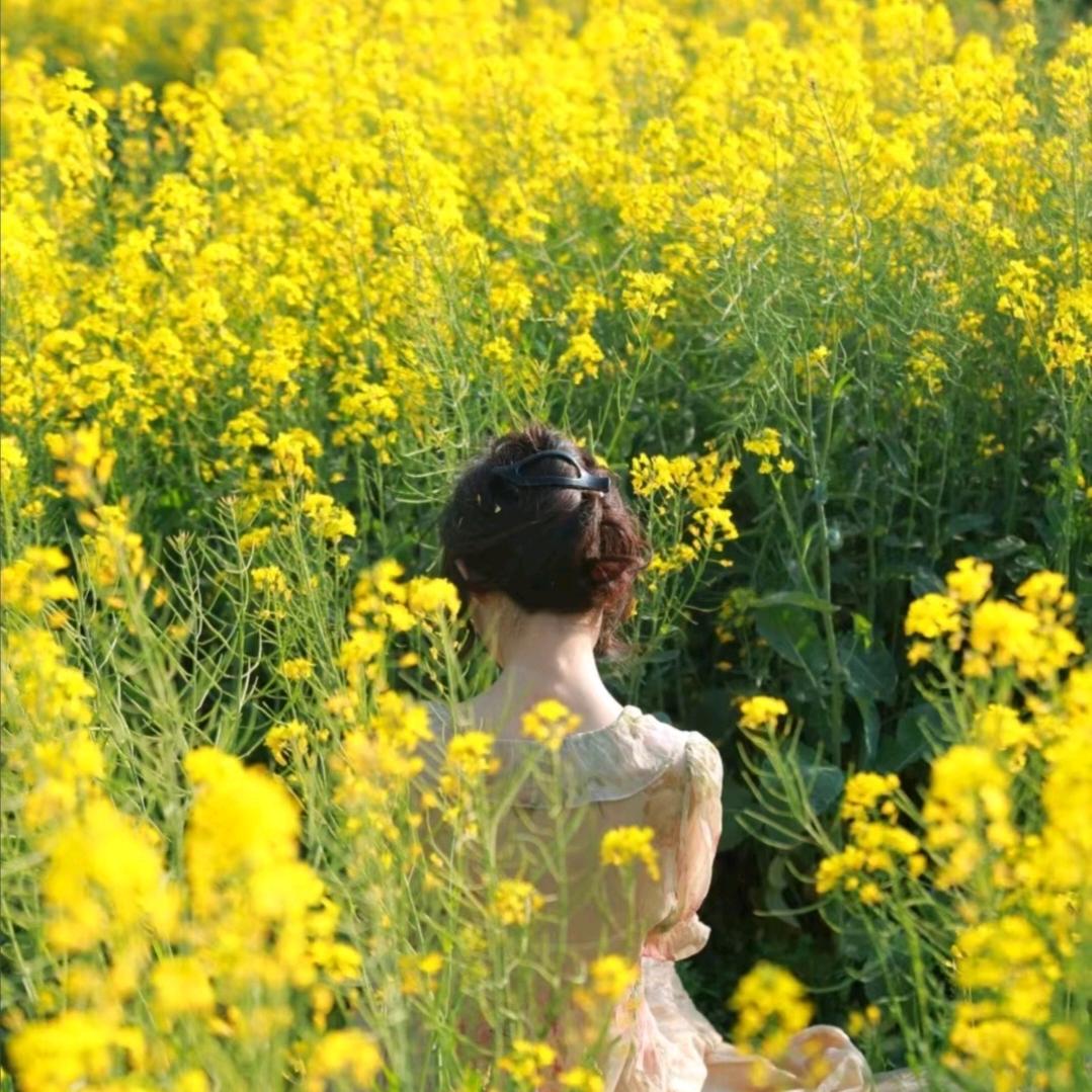 澎澎