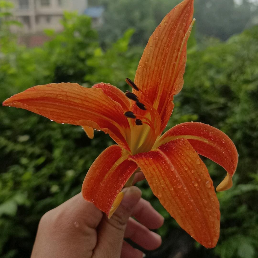 🈶缘人🧚‍♀️🧚‍♀️🧚‍♀