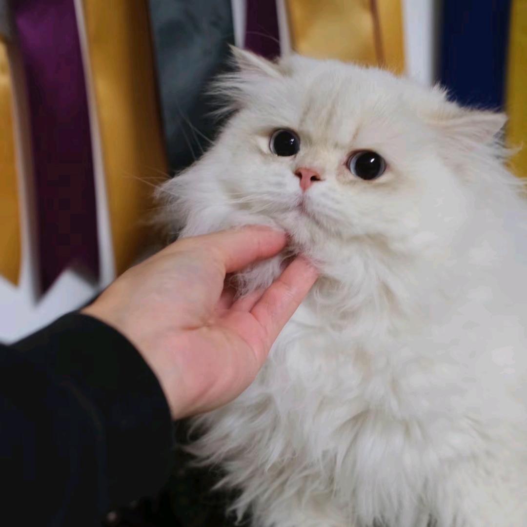 领域培训学校前台