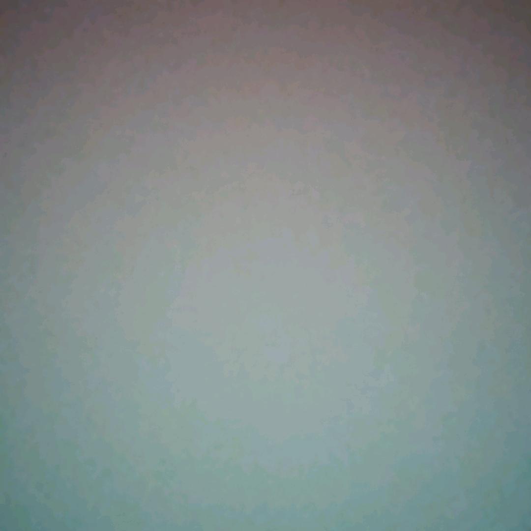 成凤