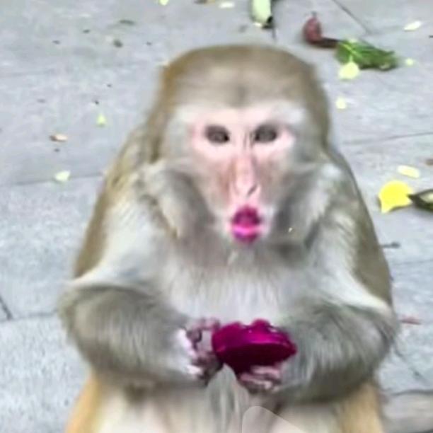 婆婆不是妈该打打该掐掐