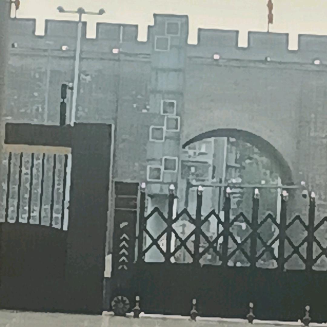 风华依旧