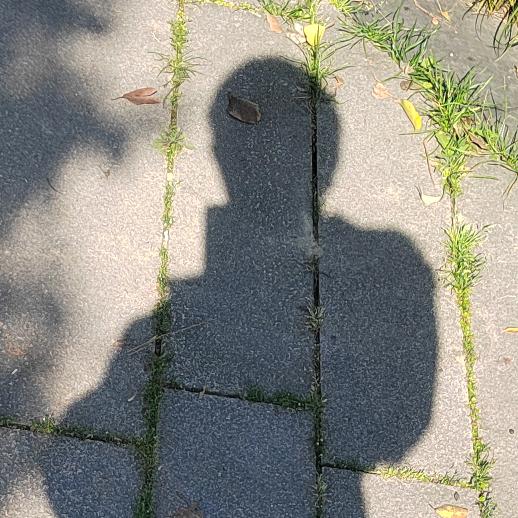 王＼(＠＾０＾＠)/♪䍃