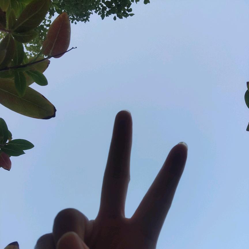 我不吃我不喝我就要钱