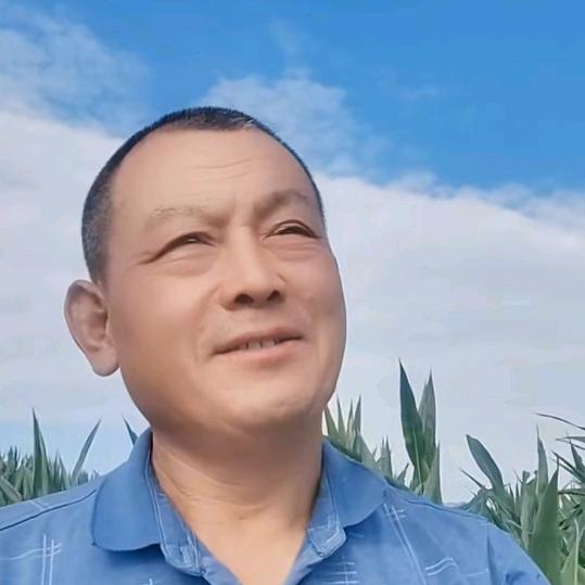 李哥说农资