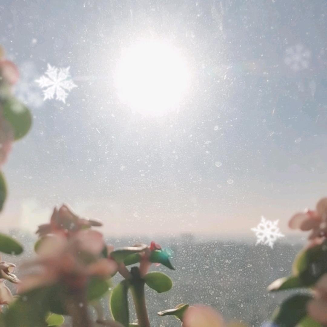 葫芦多多蒖好的外婆